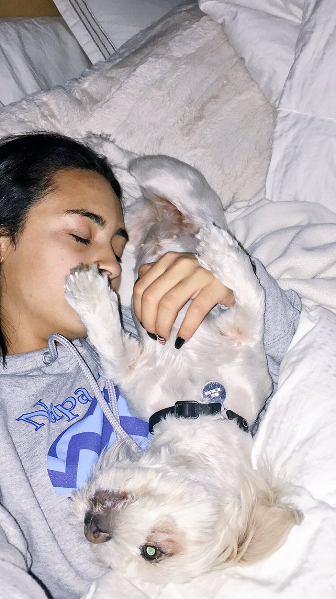 Banneebee's tweet photo. She's a level 10 cuddler and I absolutely love it. 😂💙 https://t.co/OqCvZQyDBS