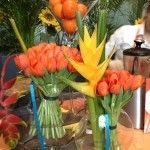 AnimaEventTweet tweet picture
