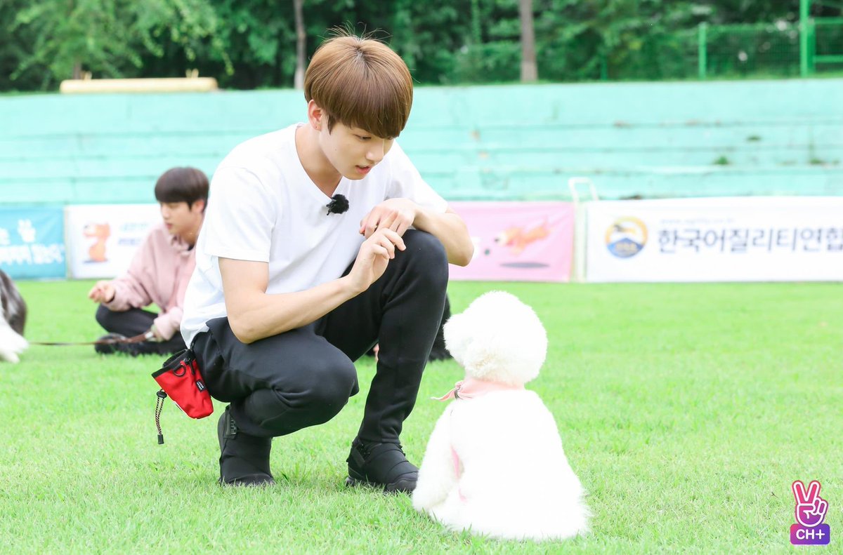 lune_jk_'s tweet photo. i think this ep so cute I'm crying😭😭
#BTSShow
#MPN
#run23 #jungkook #suga #bts #yoongi #Dog #dogs https://t.co/pr2EuDiNw5