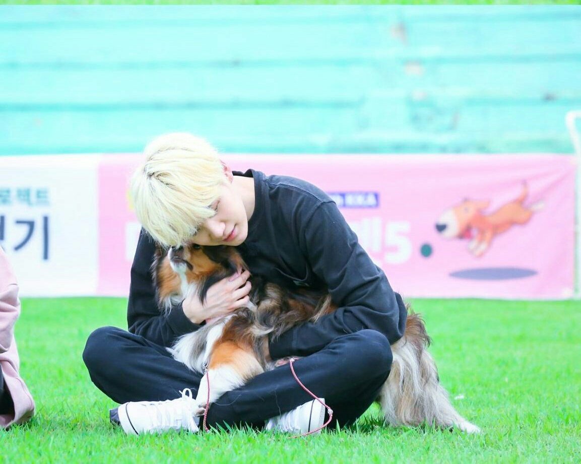lune_jk_'s tweet photo. i think this ep so cute I'm crying😭😭
#BTSShow
#MPN
#run23 #jungkook #suga #bts #yoongi #Dog #dogs https://t.co/pr2EuDiNw5