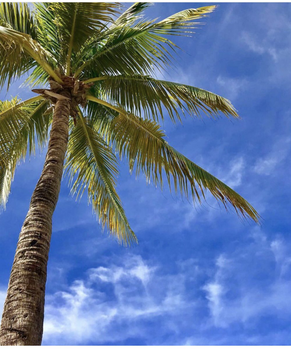 LeonettiRebecca's tweet photo. I am about to be on vacation so might be light on tweets for the next 10 days! #refreshrecharge https://t.co/sdXsfPzX8W