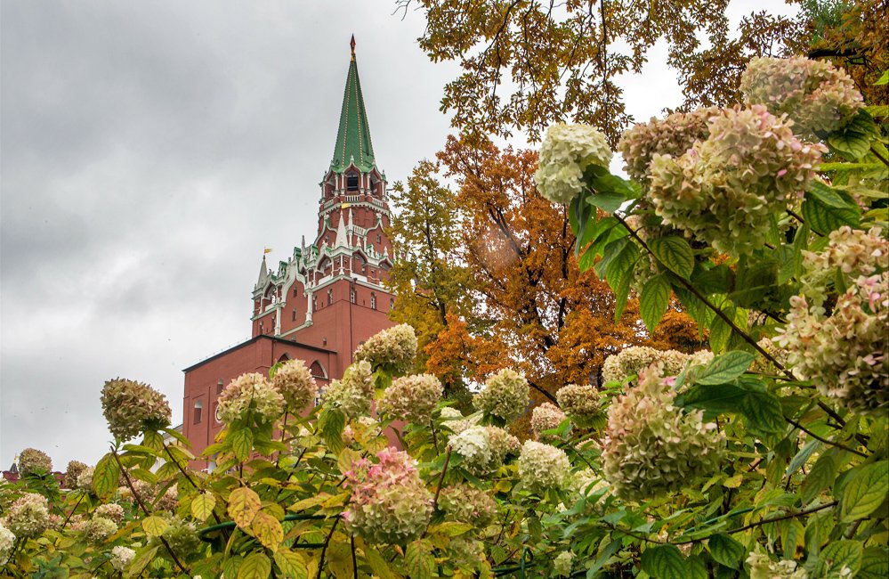 EmbassyofRussia's tweet photo. Central #Russia including #Moscow enters #GoldenAutumn mini-season when foliage &amp; leaves turn golden yellow making for magical sceneries https://t.co/PuU5q8Q4ie