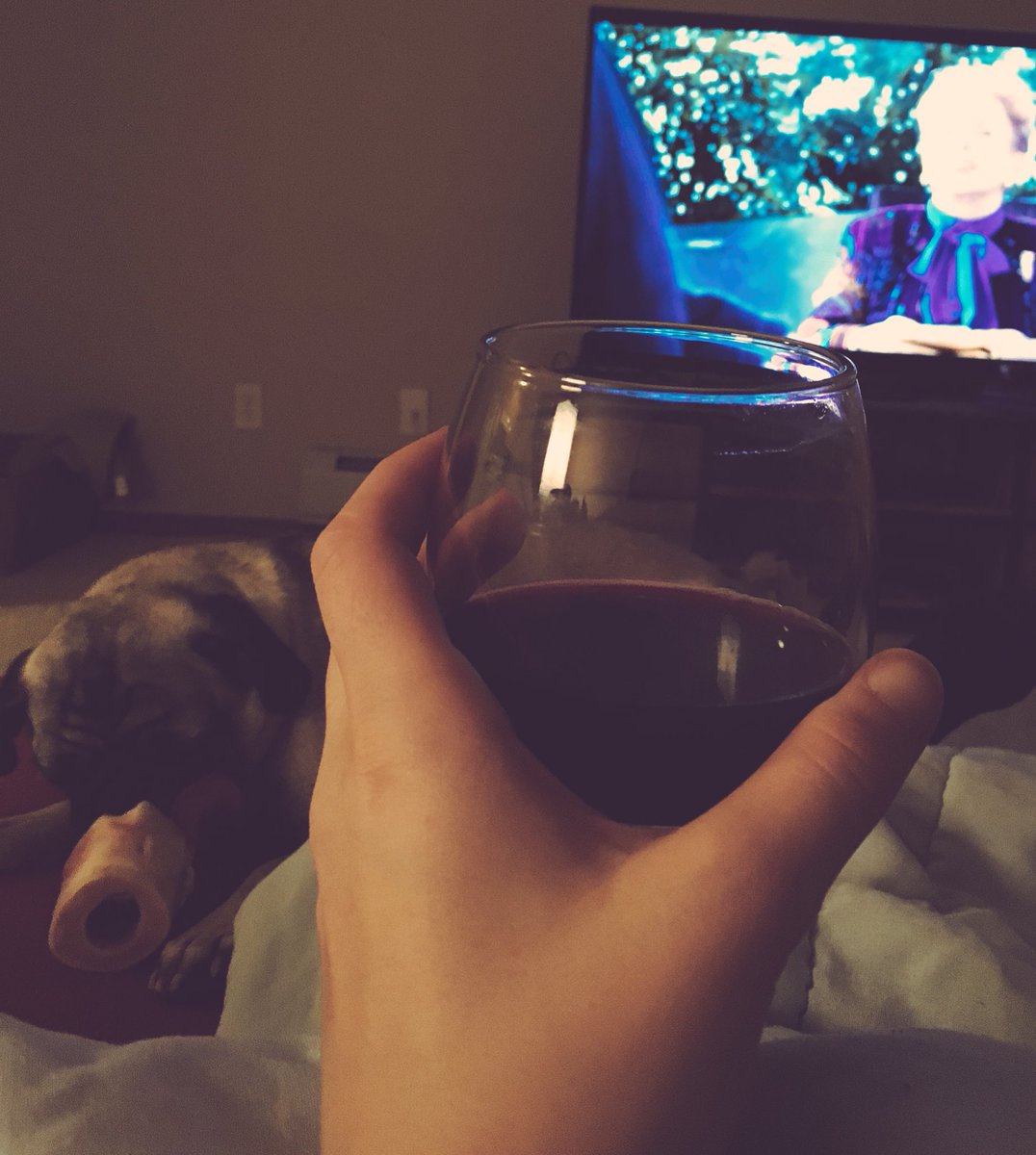 JustineKelsie's tweet photo. A glass of vino, pug &amp; @GraceandFrankie to finish off a busy Election Day 👌🏼 #abvotes #gpvotes https://t.co/0zZ26UkThp