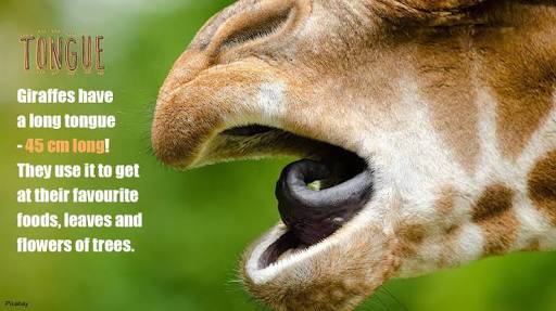 My Thoughts (@livingworld1996) on Twitter photo 