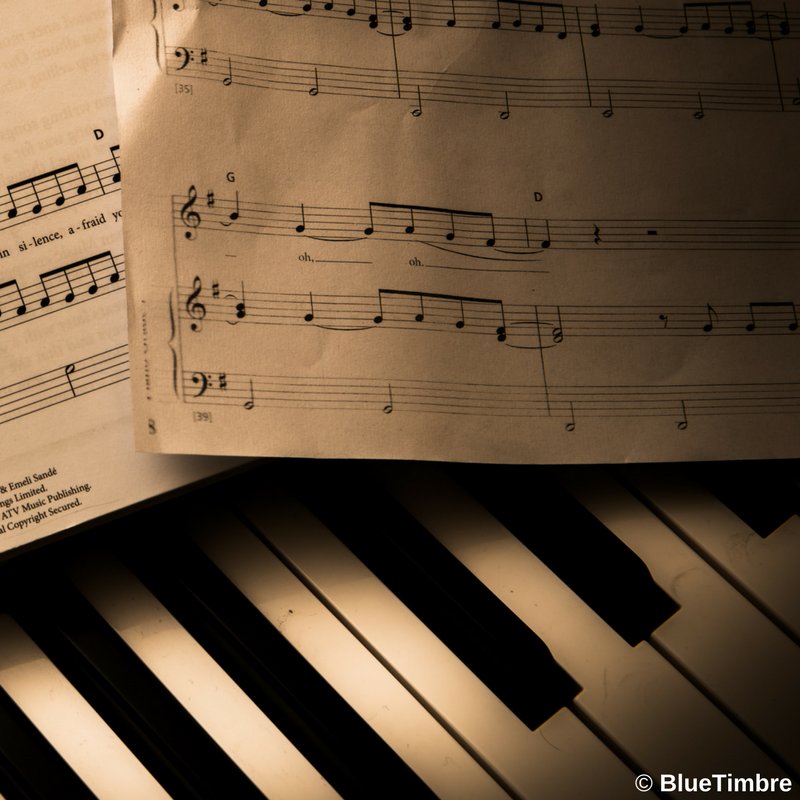 bluetimbremusic's tweet photo. Science Reveals 7 Hobbies That Make You Smarter and #1 is Playing a Musical Instrument! https://t.co/KPI8Os6sx8 #Smart #PlayInstruments https://t.co/wuUlhGdrVB