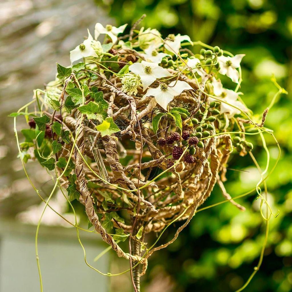 gregorlersch's tweet photo. Paper and a few dogwoodflowers very simple . Lowest value , clear Concept .... that’s enough ??? #dogwood #structu… https://t.co/VINA0X2rWK https://t.co/bZOdSmCkM5
