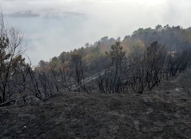 TaboadaLucia's tweet photo. O Ponte dos Pozos, en Vigo, ahora y antes. Lo que duele esto no se puede ni explicar https://t.co/AgVzj17had