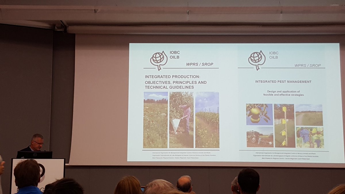 BrunoGobin's tweet photo. Carlo Malavolta explaining #IntegratedProduction guidelines, a good agricultural practice including #IPM Integr Pest Mgmt @futureIPM 3.0 https://t.co/X4Xo7Zu6lm