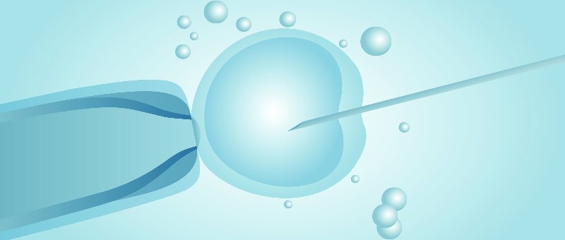 La fecundación in vitro es una opción ideal para muchos padres y madres que buscan tener un bebé. Conocela aquí b2s.pm/grNcvC