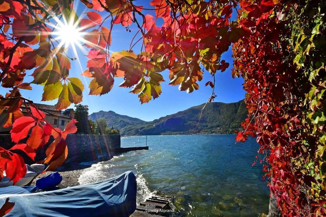 MontagneLago's tweet photo. "Centinaia di fiori in primavera, la luna in autunno, la brezza fresca d'estate, la neve in inverno. Se non occupi la tua mente in inutili cose, ogni stagione è per te una buona stagione." Luisella Aliprandi, Mandello del Lario #lakecomo. Grazie! https://t.co/uuyJbcfWNN