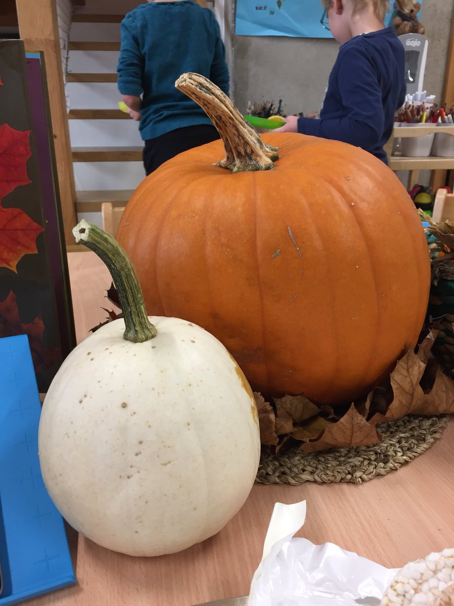 MrsDuublu's tweet photo. Getting our @travellingtale ready to pass on! Can you guess what our inspiration was? #islk2 #mrsduublusk2 https://t.co/zVJbkeAsDV