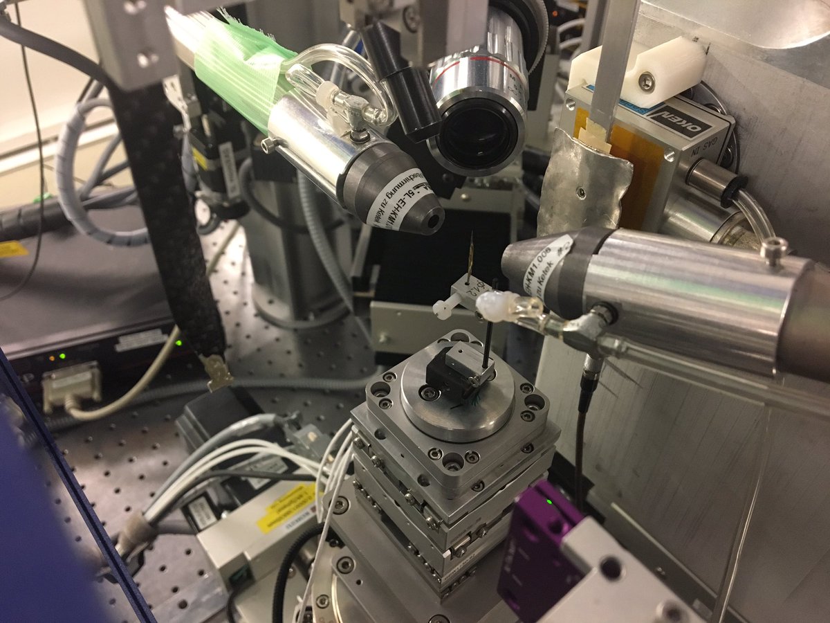 Env.Radiochem.Helsinki (@uoh_rad_chem) on Twitter photo <a href="/geobilbo/">Will Bower</a> @ConnaughFallon of <a href="/DaltonNuclear/">Dalton Nuclear Institute</a> visiting <a href="/psich_en/">PSI Paul Scherrer Institut</a> microXAS beamline for chemical tomography of U particles. Great beam-time. <a href="/geobilbo/">Will Bower</a> @ConnaughFallon of <a href="/DaltonNuclear/">Dalton Nuclear Institute</a> visiting <a href="/psich_en/">PSI Paul Scherrer Institut</a> microXAS beamline for chemical tomography of U particles. Great beam-time.
