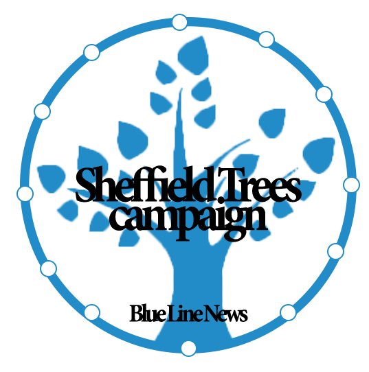 BlueLineSheff's tweet image. All the latest news regarding #SaveSheffTrees on our new section on the website bluelinenews.jusweb.co.uk/category/news/…