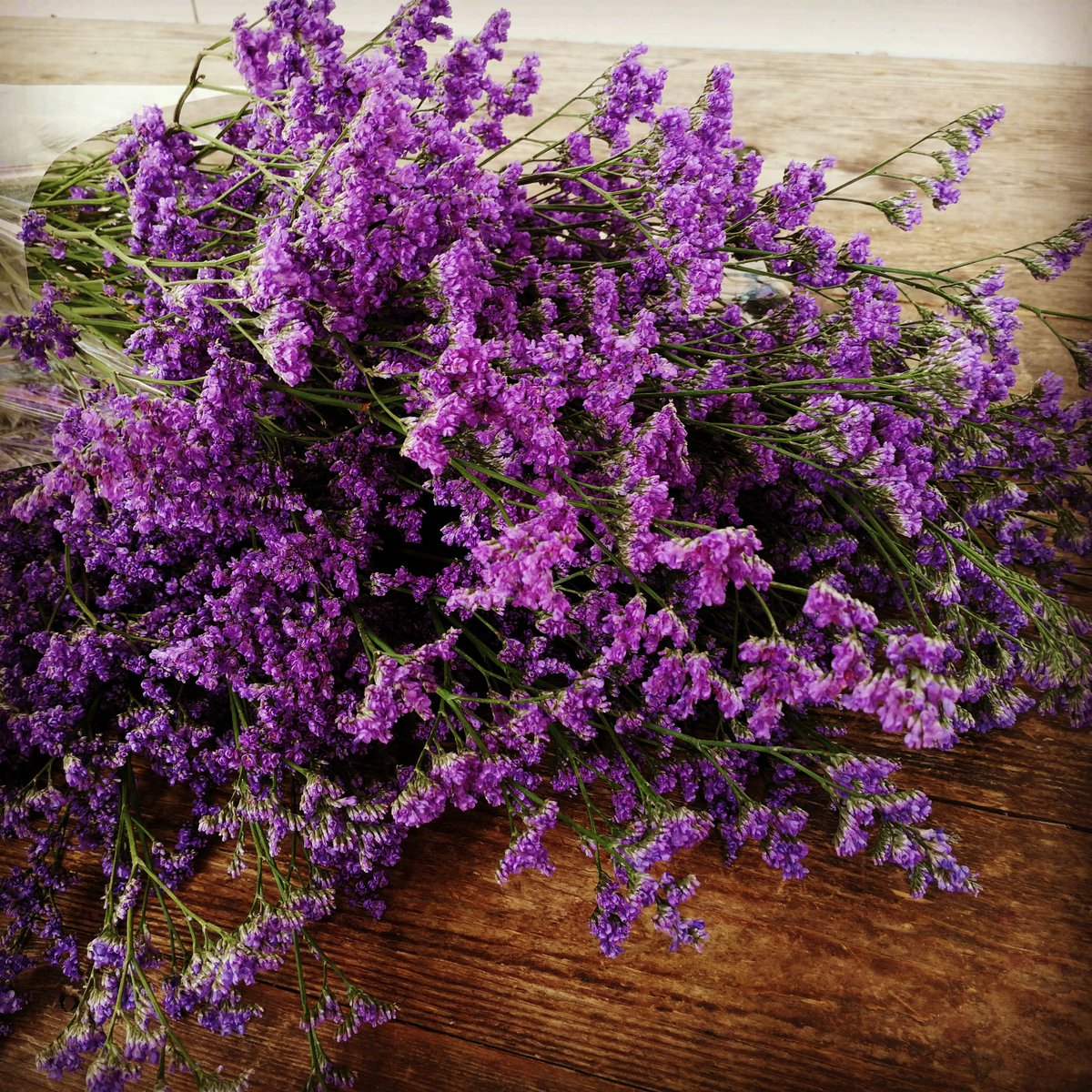 Pom de Limonium 💐 #flowers #flor #floweroftheday