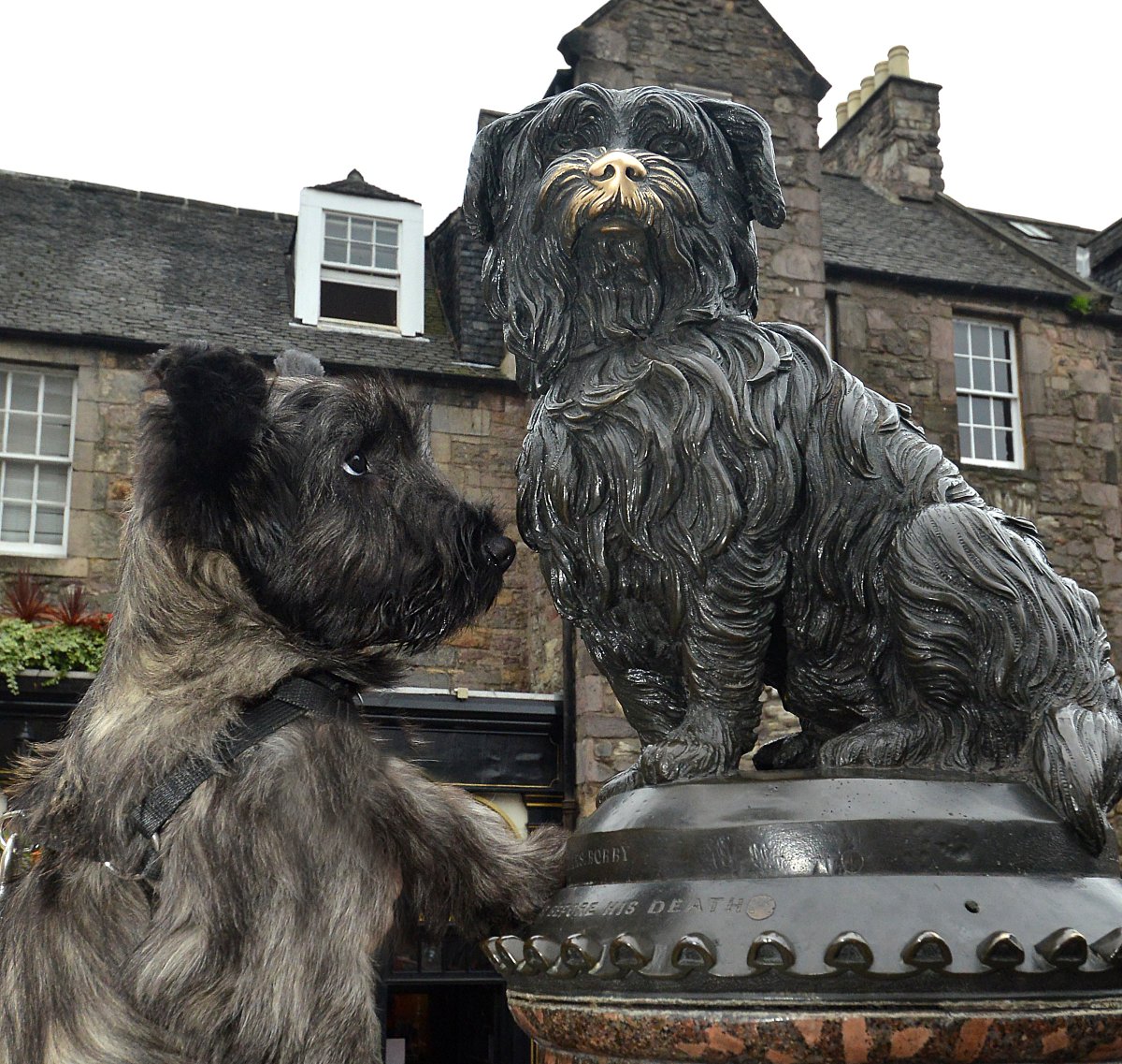 edinburgh's tweet photo. It's official! The votes have been counted and Greyfriars Bobby is number 101 of the #Edinburgh101!
 https://t.co/FpDewSwmWr # https://t.co/Wx4GX80zgH