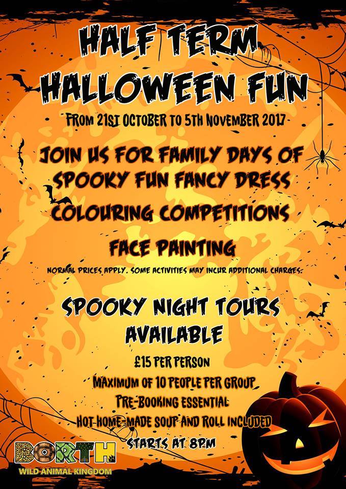 BorthZoo's tweet photo. Spooky things are happening here at the zoo! #nighttours2017 #borth #borthwildanimalkingdom https://t.co/BF3DrKrcXf