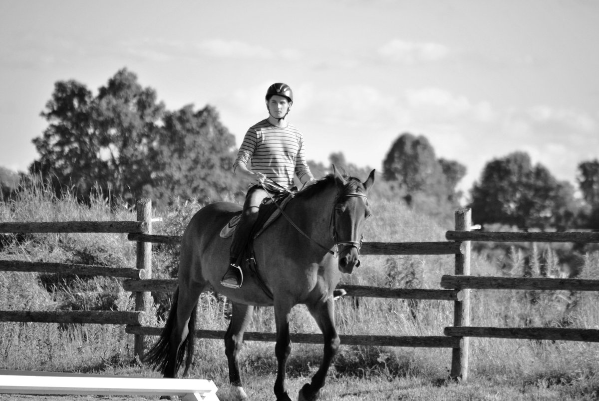 WhiteForestFarm's tweet photo. Sometimes Bevan takes over photography and photo editing!
#malemodel #whiteforestfarm #horsesofinstagram https://t.co/SjzuXGvfnD