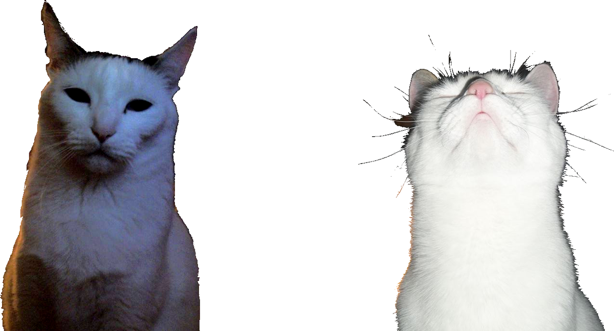 CarrionCassette's tweet photo. #ornstein got a new #hiphop #trap #duo with #HIMSELF #fromanotherdimension #fuckyou #pawg https://t.co/JAZTC40mL2
