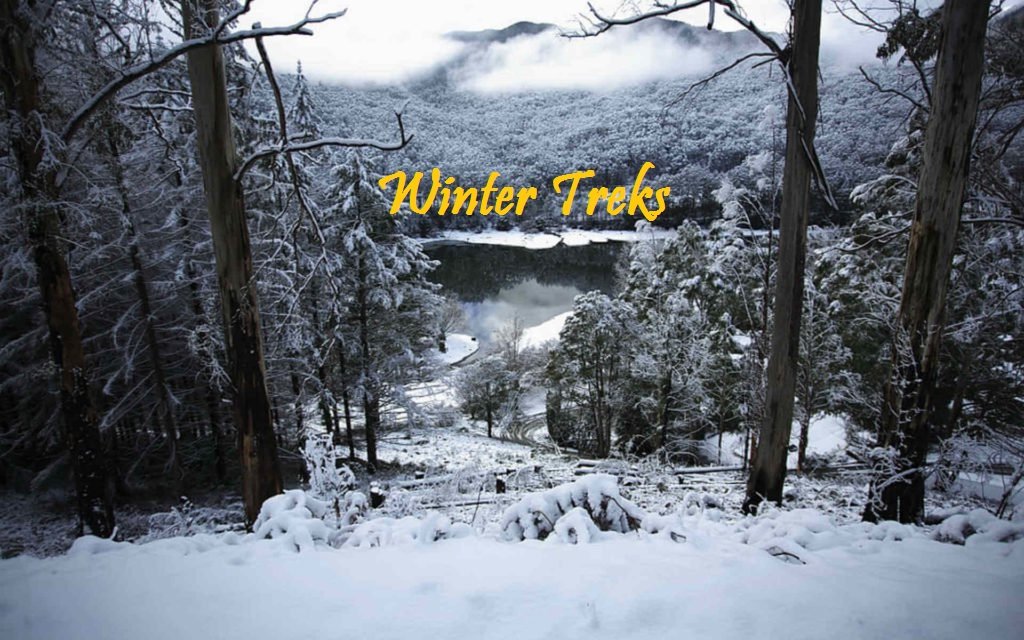 Winter Is Here! travellersfoodboxx.wordpress.com/2017/10/17/win…