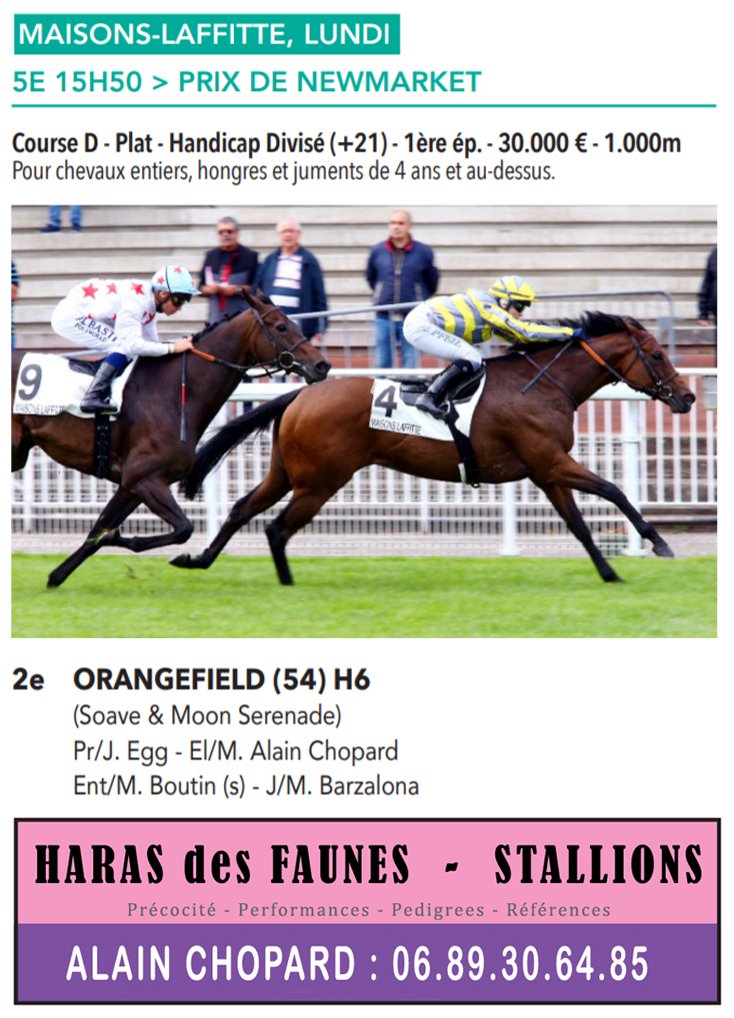 Congratulations #Orangefield, &team - 2nd Prix de Newmarket (D) - Maisons-Laffitte 09.11 Sired/HDFstallion: haras.desfaunes.free.fr/frameetalon/