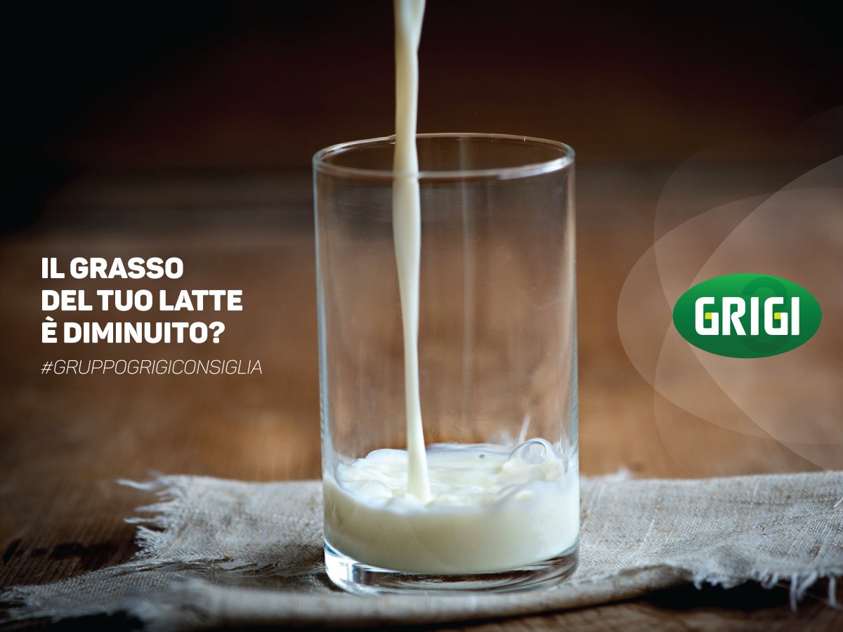 Gruppo_Grigi's tweet photo. #GruppoGrigiConsiglia https://t.co/QwTTa0l3yj