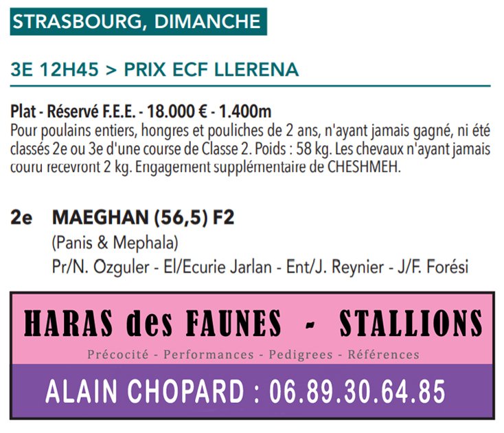 Congratulations #Maeghan 2yo, &team - 2nd Prix ECF Llerena - Strasbourg 09.17 Sired/HDFstallion: haras.desfaunes.free.fr/frameetalon/