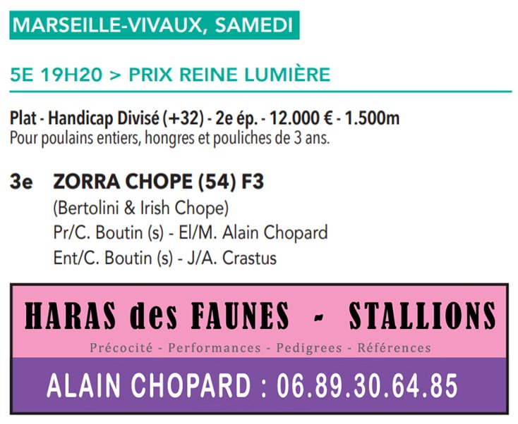 Congratulations #Zorra_Chope 2yo, &team - 3rd Prix Reine Lumière - Marseille 10.07 Sired/HDFstallion: haras.desfaunes.free.fr/frameetalon/