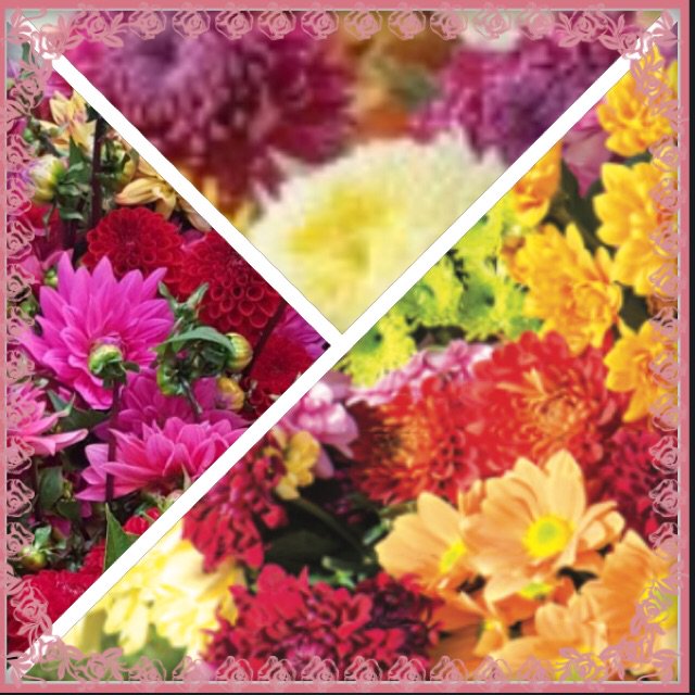 GTF Preston tweet media