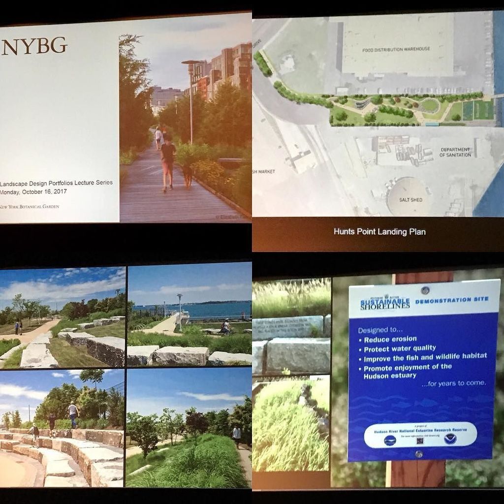 DebraPickrel's tweet photo. @mathewsnielsen #signenielsen @nybg Optimistic Landscapes talk: #huntspointlanding #design @asla_ny @centerforarch https://t.co/koEtRkK7Ct https://t.co/g9yn0jBZWn