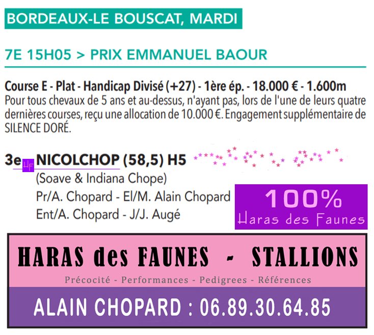100% Chop !!! Congratulations #Nicolchop, &team - 3rd Prix Emmanuel Baour (E) - Bordeaux 10.10 Sired/HDFstallion: haras.desfaunes.free.fr/frameetalon/
