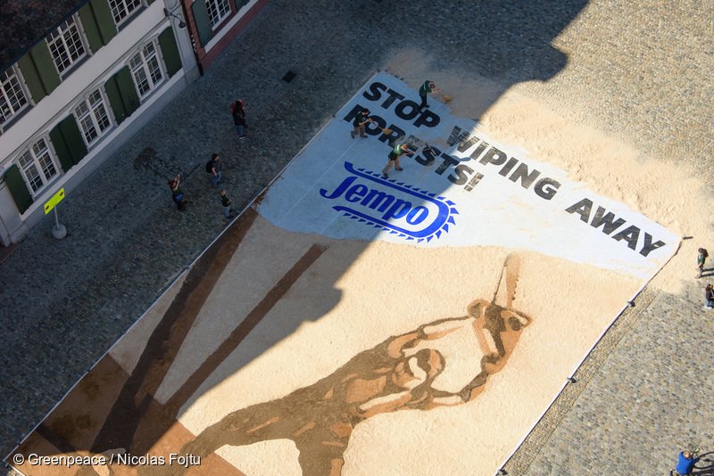 greenpeace_ch's tweet photo. Greenpeace-AktivistInnen fordern mit riesigem Holzfäller-Bild: Keine Nastücher aus schützenswerten Wäldern! https://t.co/6jxEtSQWEs https://t.co/kmMSRHPluj