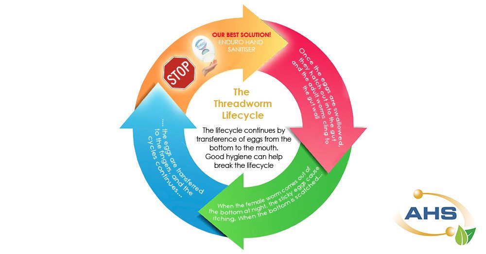 AbsoluteHygiene's tweet photo. Who is at risk of #Threadworm? Read our blog and stay educated - https://t.co/cJGEvzGYsb https://t.co/ssjm9WotnP