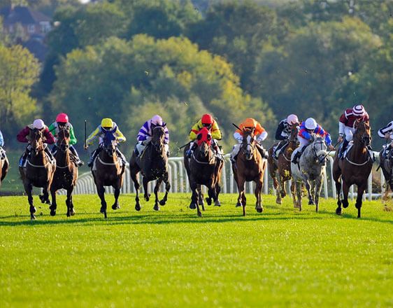 Steady Eddy's Each Way Earner For Tuesday 17th October is: War Glory in the 3.00 at Leicester (12.00) dld.bz/FreeRacingNow