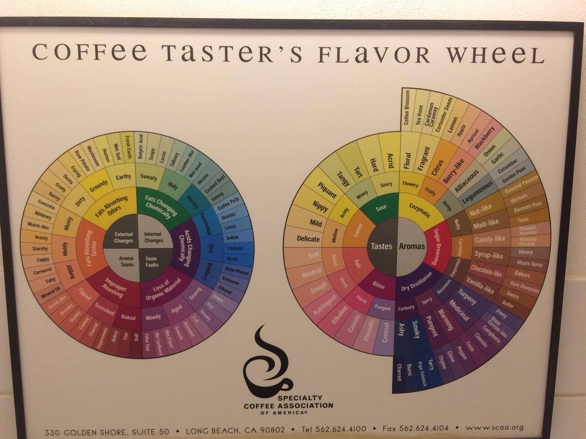 Coffee Taste Chart