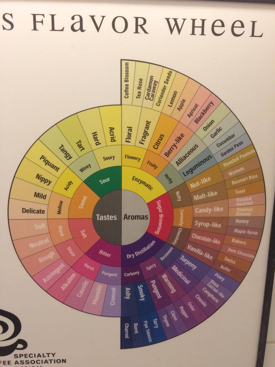 Coffee Taste Chart