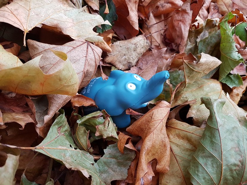 We've set 221 elephants loose across the city! Join the #CovSafari for your chance to win FREE Escape Room tickets for up to 4 friends!