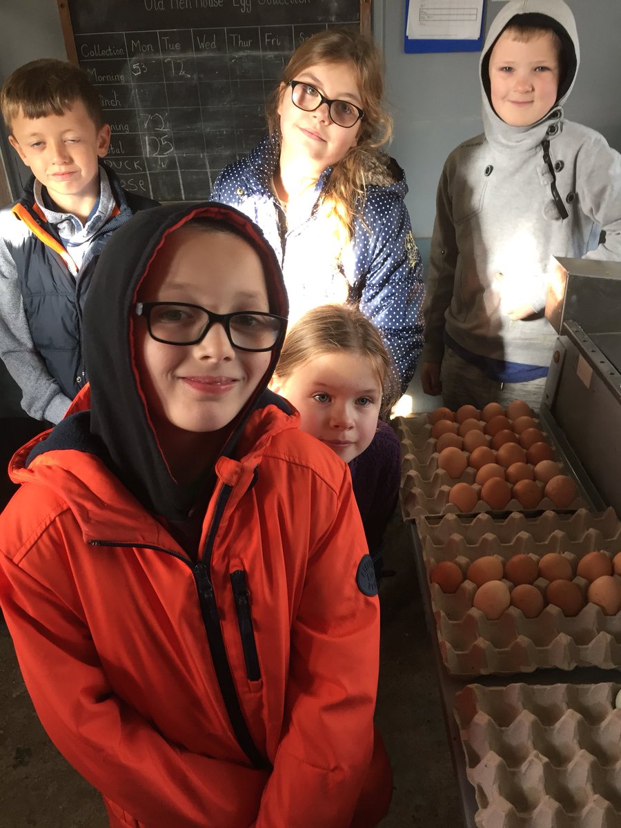 Woodlands Primary tweet media