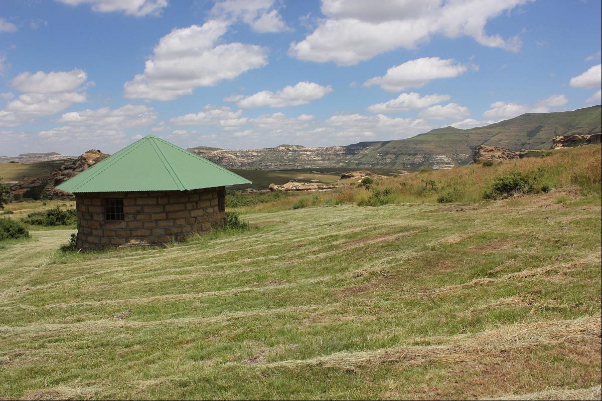 TravelGround's tweet photo. Escape to the mountains! Scenic setting in a nature reserve near the Lesotho border: https://t.co/8A3VSgeFKb #TravelTuesday #Witteberg https://t.co/rstdQQLe18