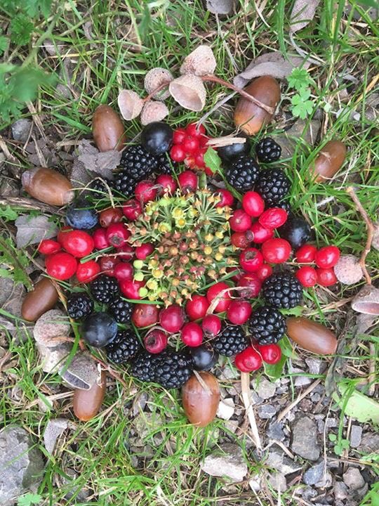 EcoWildCIC's tweet photo. Autumn treasure mandala created by our Wellbeing group at Chew Valley Community Farm https://t.co/TNaYwWsRIb