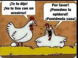 AdiosMalHumor's tweet photo. jajajaja
que bestia!
#chistes #humor https://t.co/x7NAkss5Ls