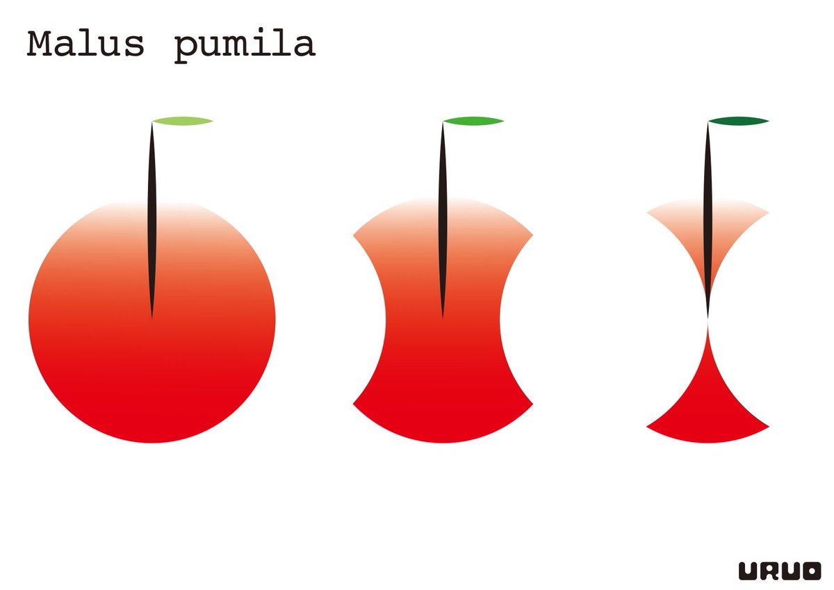 タカダウルオ Malus Pumila リンゴのグラフィックいろいろ 作品名はリンゴの学名から