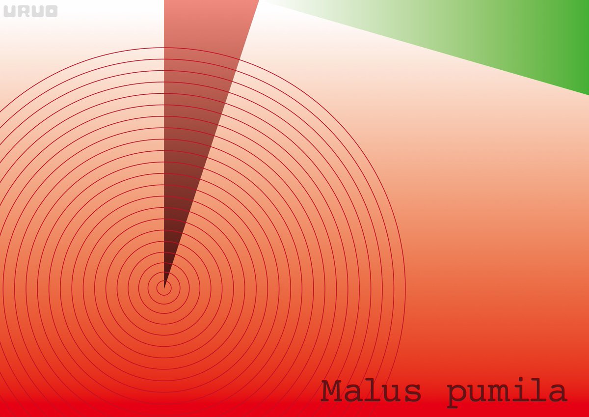 タカダウルオ Malus Pumila リンゴのグラフィックいろいろ 作品名はリンゴの学名から