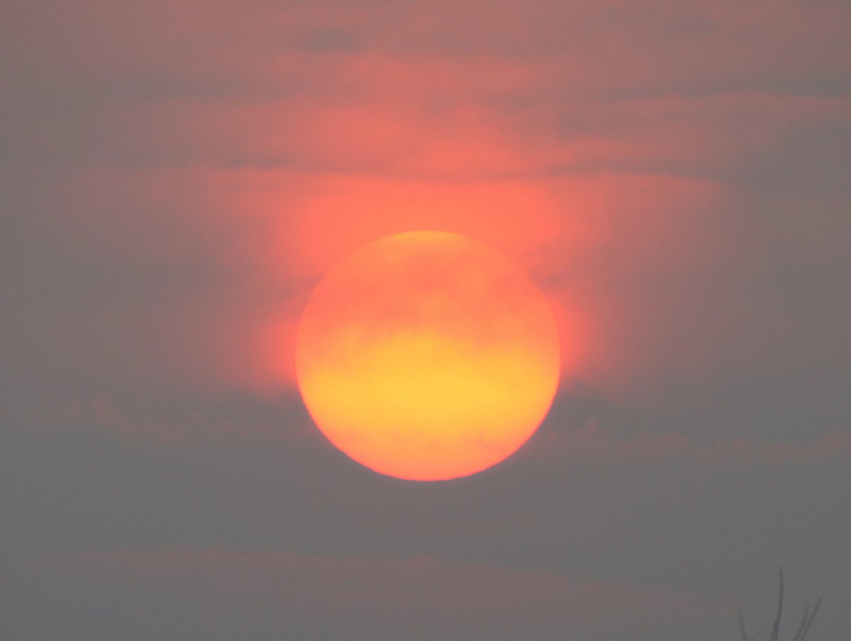 frankdeboosere's tweet photo. Saharastof, aswolken van Portugese bosbranden en hoge wolken zorgden de afgelopen uren voor een rode zon. https://t.co/u0CxnsaU6B