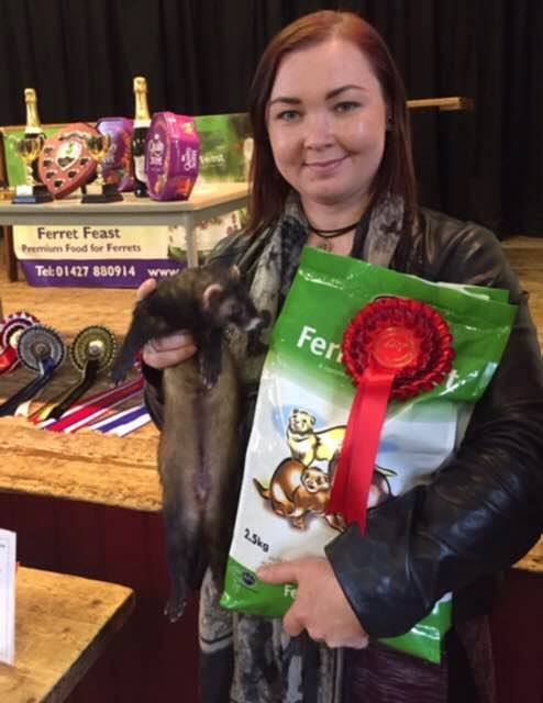 AlphaFeeds's tweet photo. We were proud to have recently supported the Kendal &amp; Cumbria Open Ferret Show: https://t.co/S164rTlCtQ  #Ferrets https://t.co/LPKjsx4WfT