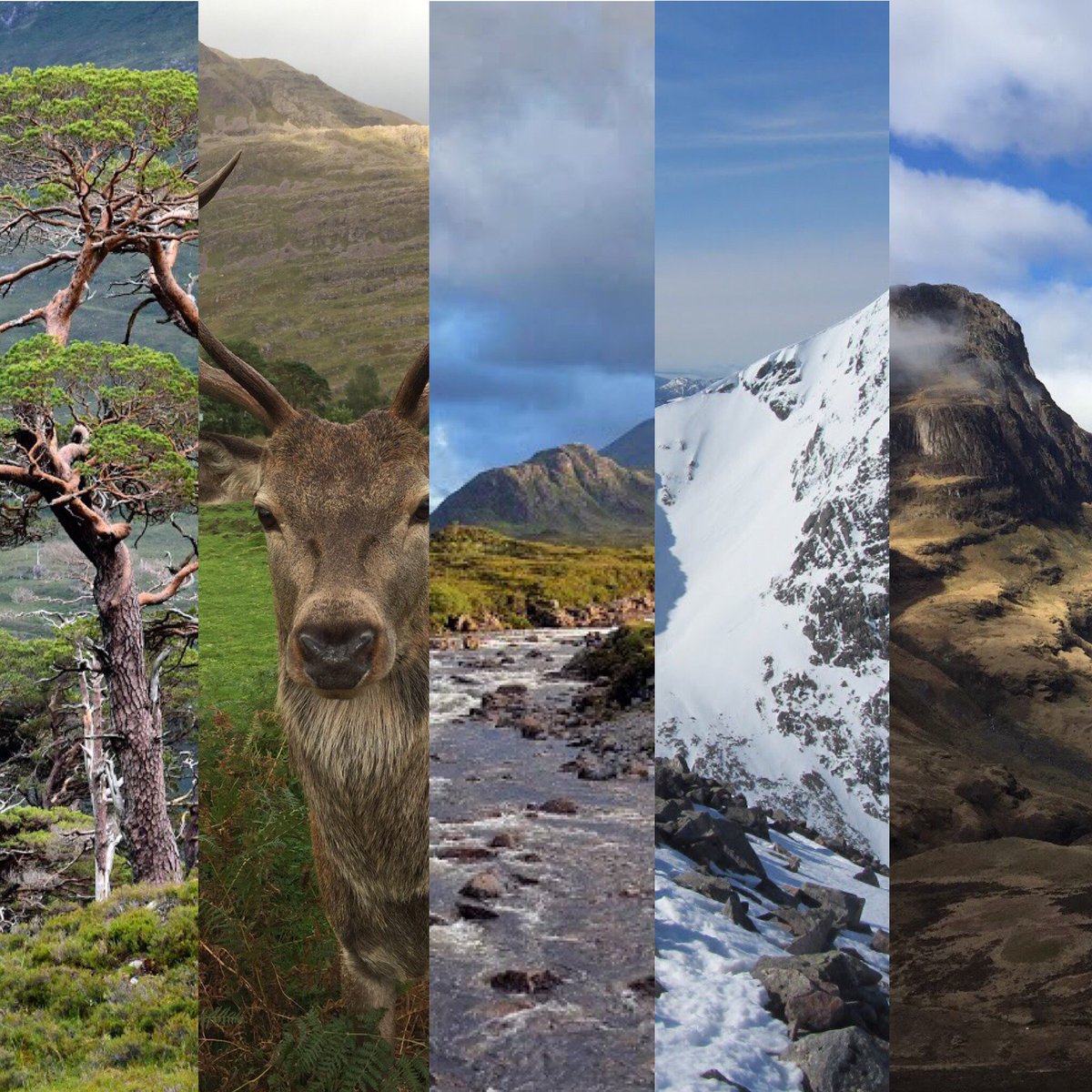 EdYoungWalkers's tweet photo. Sneak peak of our photography exhibition on Oct 23 celebrating the benefits of walking for mental health. More info: https://t.co/yBlKYeL0lr https://t.co/4UgZFpj4E9