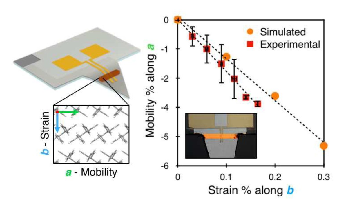 guillaumewantz's tweet photo. Our last story: Mechanical stress vs Mobility in #rubrene FETs
Just accepted in @MaterHoriz 
https://t.co/wOm8oiMTUa @LaboIMS @univbordeaux https://t.co/MPy09U36Na