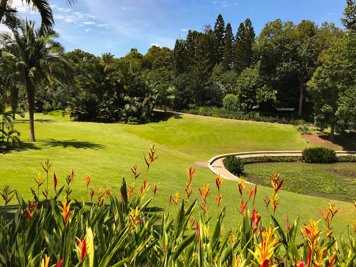 Neildigiscoping's tweet photo. I took a stroll around the #singapore_botanic_gardens this morning on a nice day. https://t.co/cYetGTBbbG