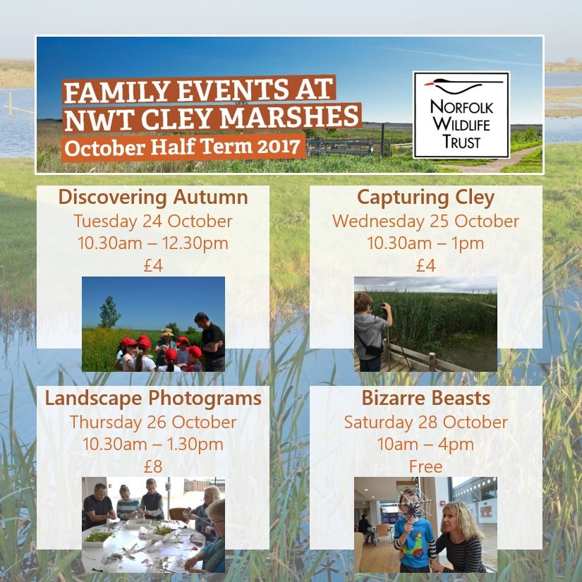 <a href="/MumsnetNorfolk/">Mumsnet Norfolk</a> we're hosting some fantastic autumn-themed family events this October half term!  bit.ly/nwtevents 🍁🍂🍄