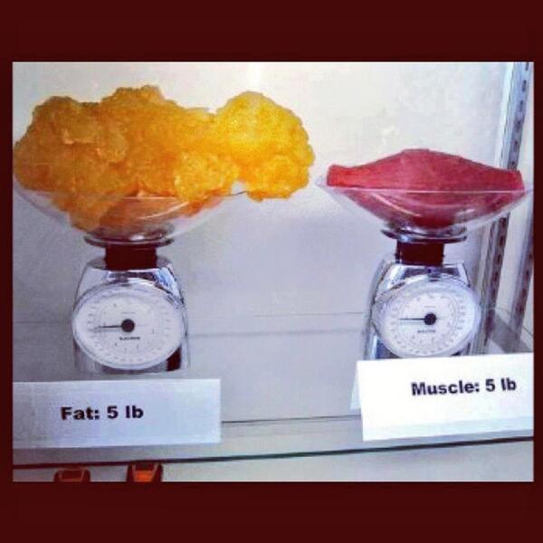 ACEfitnut's tweet photo. Weight is just a number;
A very deceptive number.

Pride yourself on how you feel, look and how your clothes fit, not on your weight. 

#eatclean #fitness #nutrition https://t.co/ITvAb6xkKY