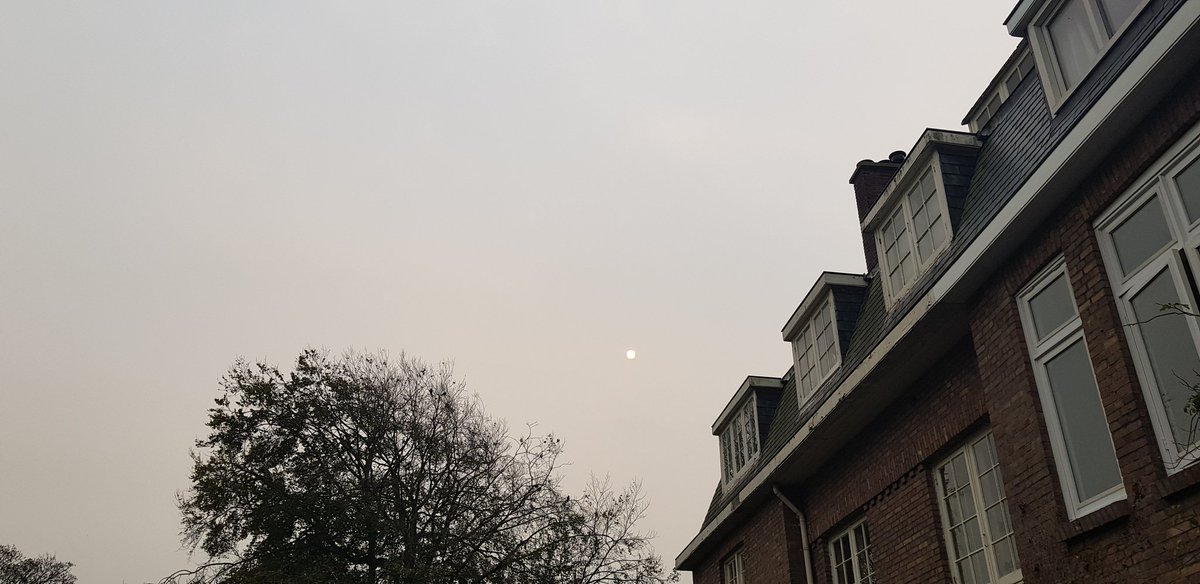 copypaint tweet media